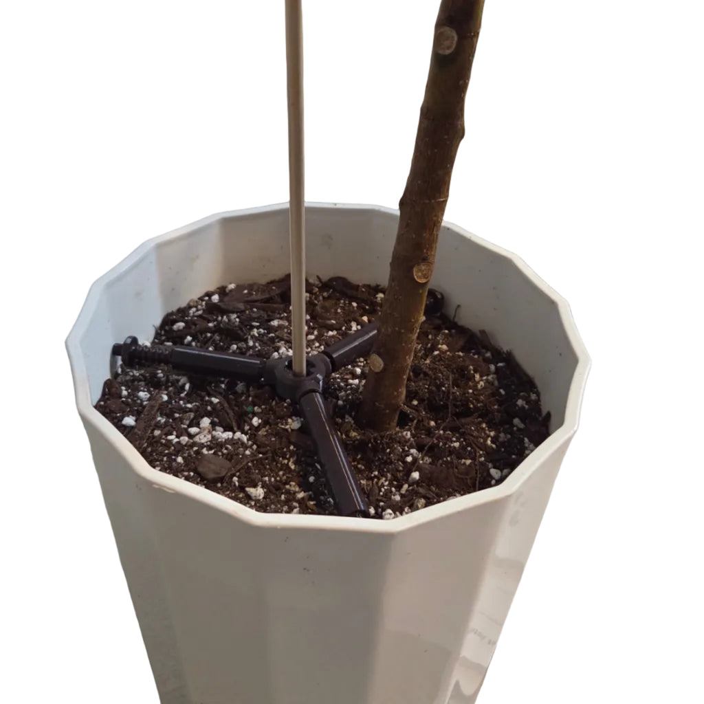 STAYKIT Mini plant stake support- adjusts from 5" to 9" (1 Pack)