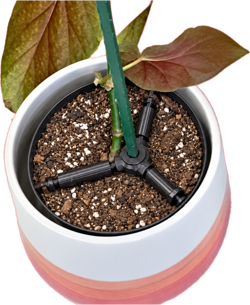 STAYKIT Mini plant stake support- adjusts from 5" to 9" (1 Pack)