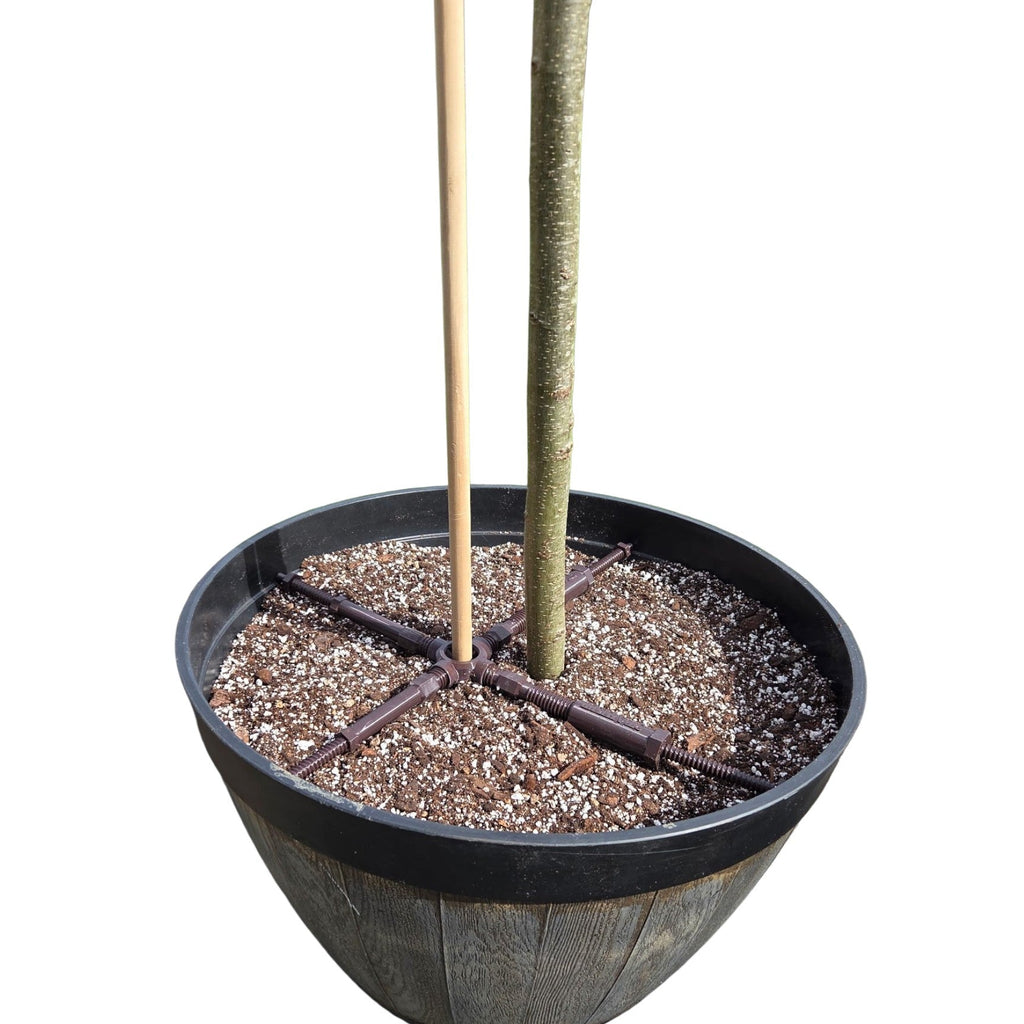 STAYKIT XL plant stake support adjusts from 16" to 24" (1 pack)